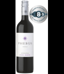 Phebus Syrah Mendoza