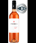 Phebus Malbec Rosé Mendoza